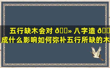 五行缺木会对 🌻 八字造 🐧 成什么影响如何弥补五行所缺的木